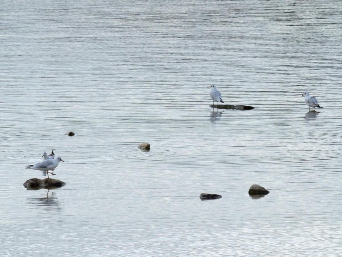 Montigny-sur-Loing La Ravine Au Bord Du Loingヴィラ エクステリア 写真