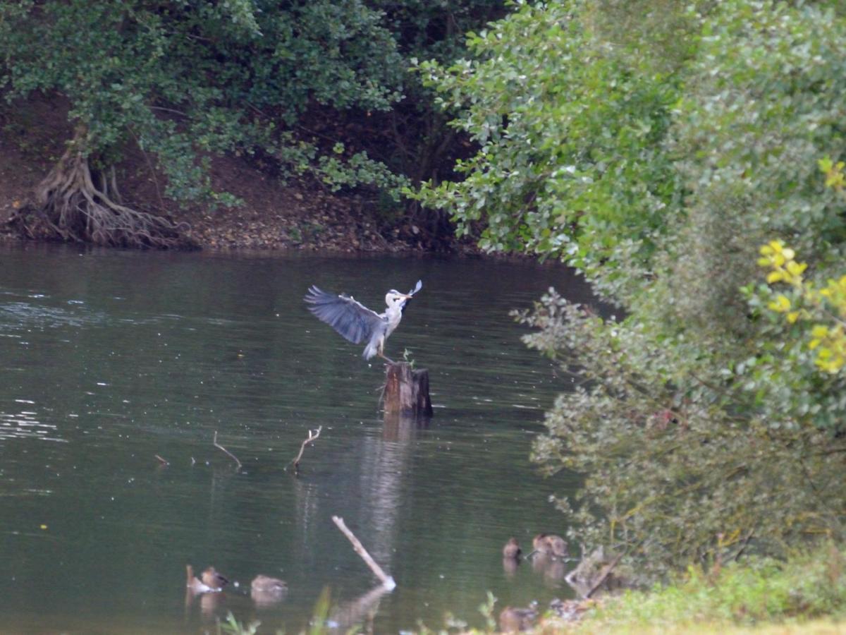 Montigny-sur-Loing La Ravine Au Bord Du Loingヴィラ エクステリア 写真