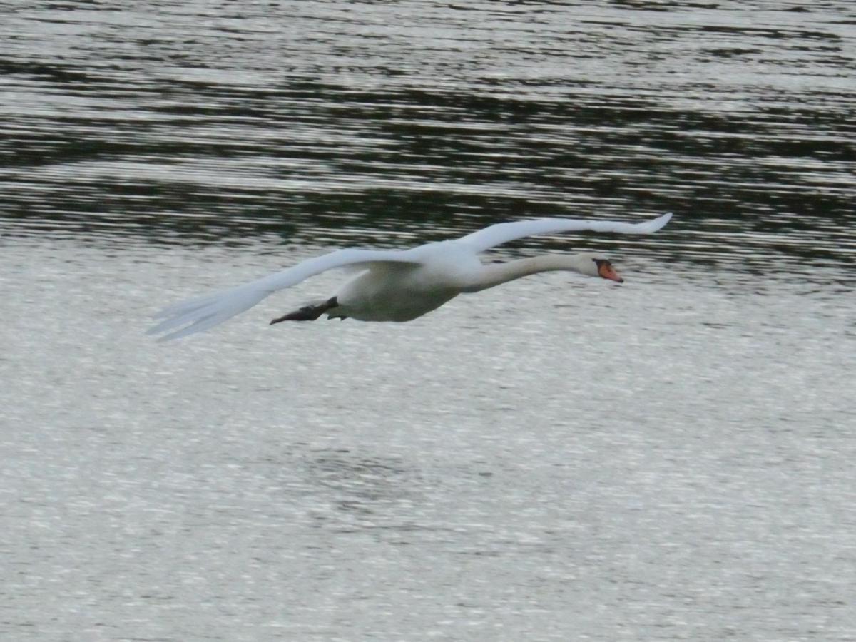 Montigny-sur-Loing La Ravine Au Bord Du Loingヴィラ エクステリア 写真