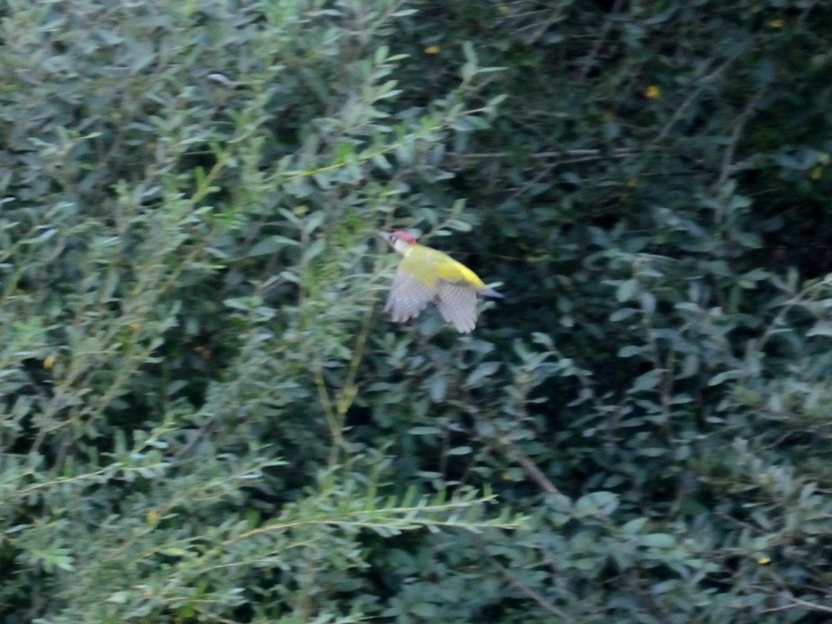 Montigny-sur-Loing La Ravine Au Bord Du Loingヴィラ エクステリア 写真